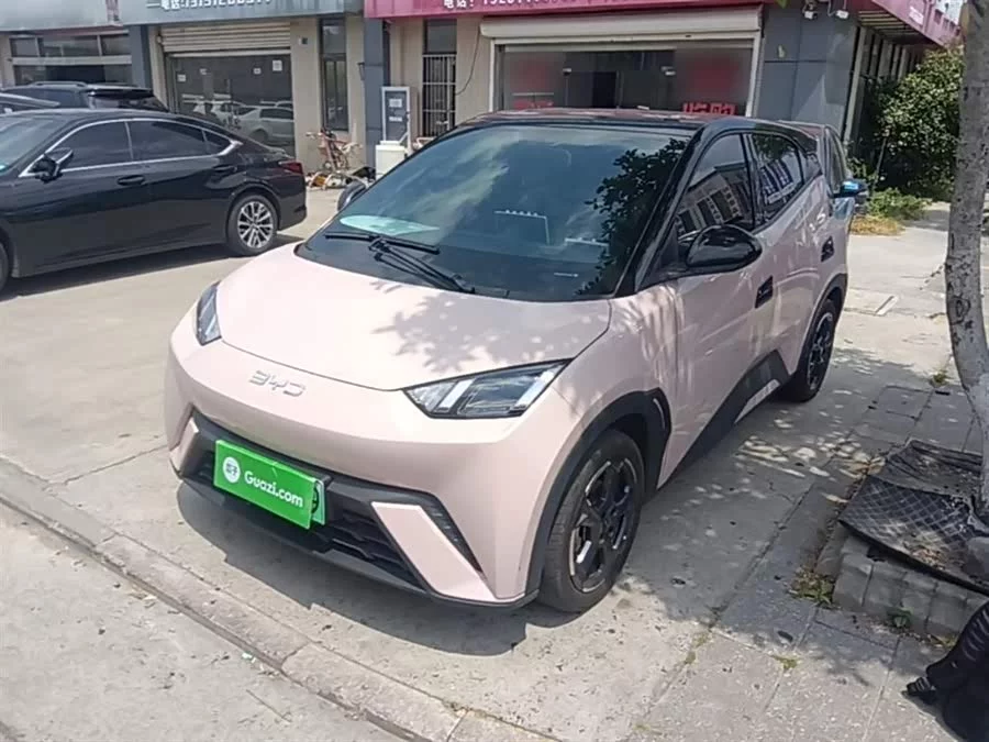BYD Seagull