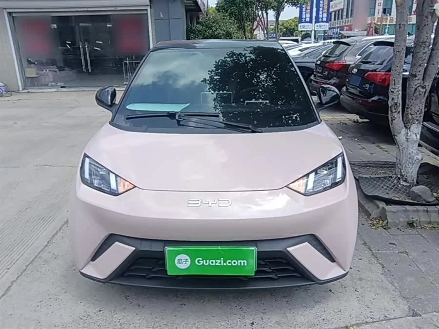 BYD Seagull