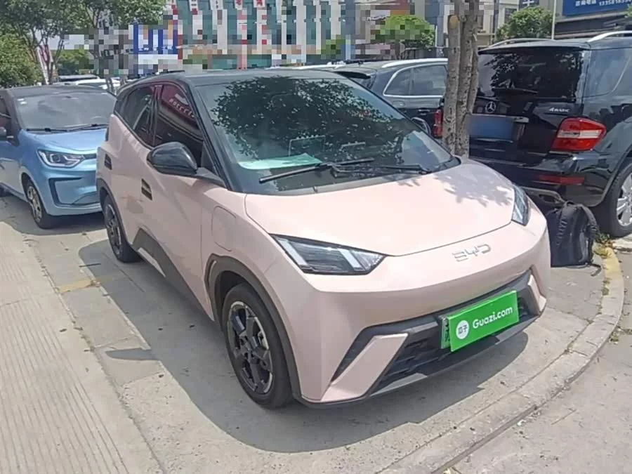 BYD Seagull