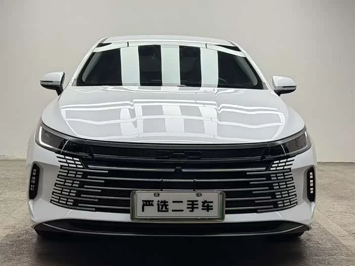BYD Destroyer 05