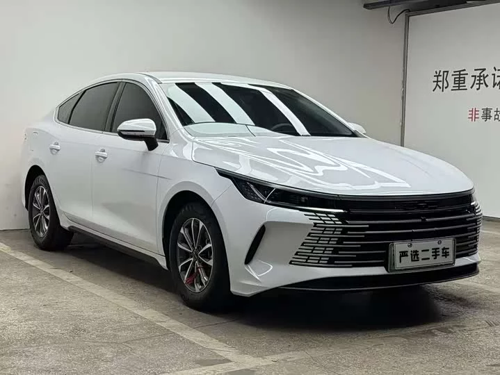 BYD Destroyer 05