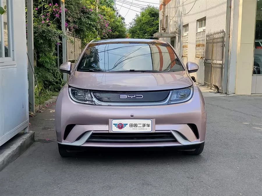 BYD Dolphin