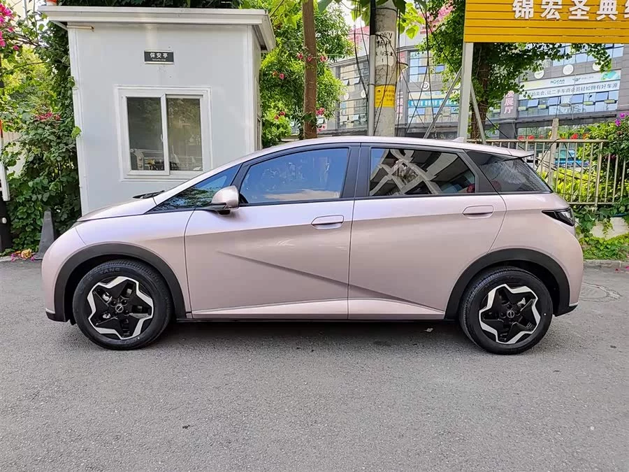 BYD Dolphin