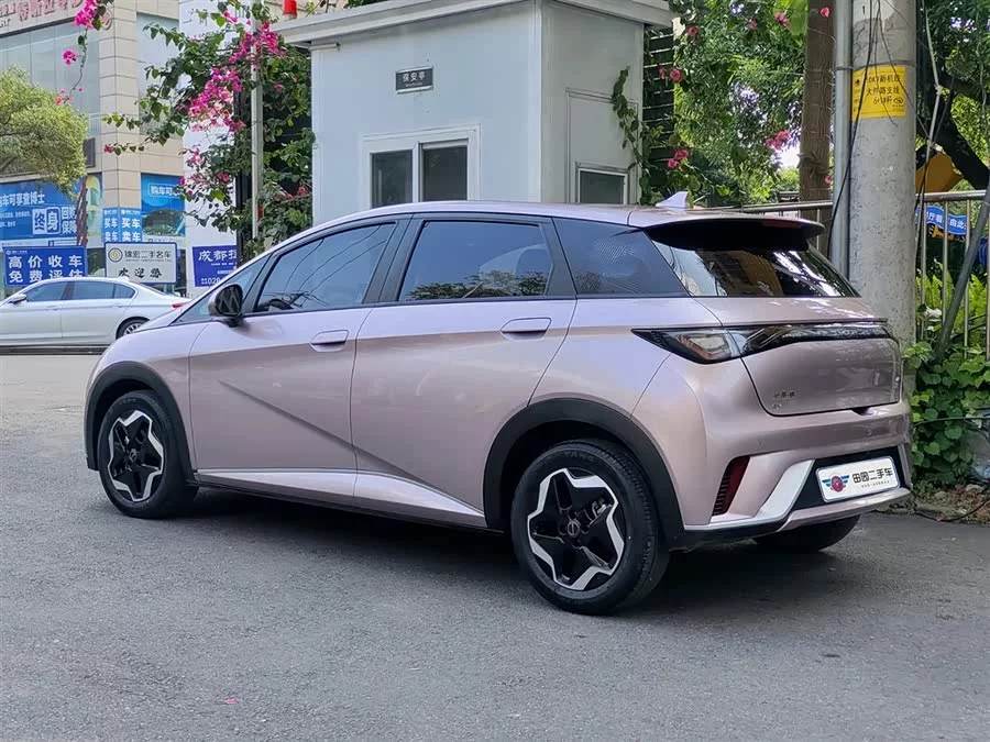 BYD Dolphin