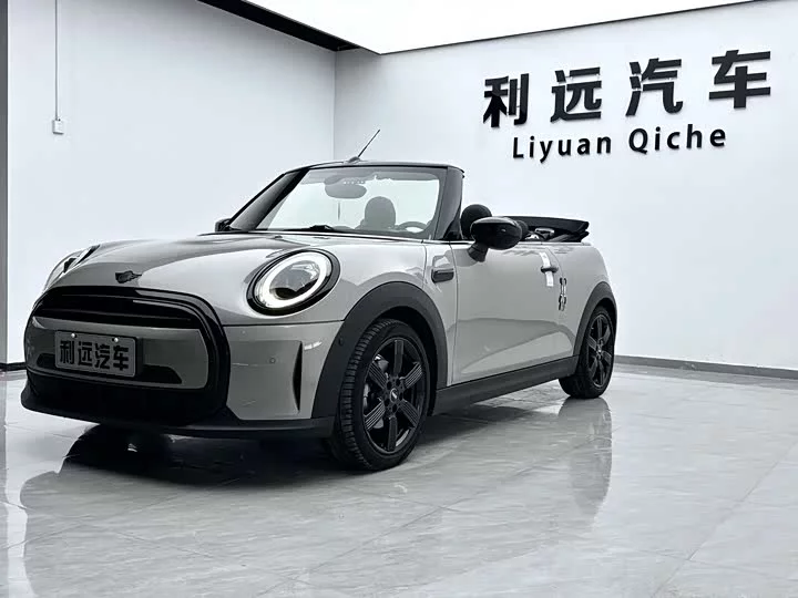 MINI 