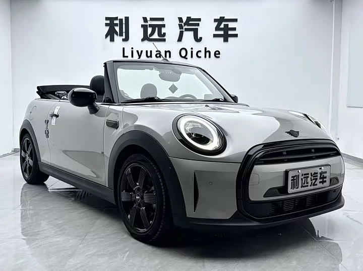 MINI 