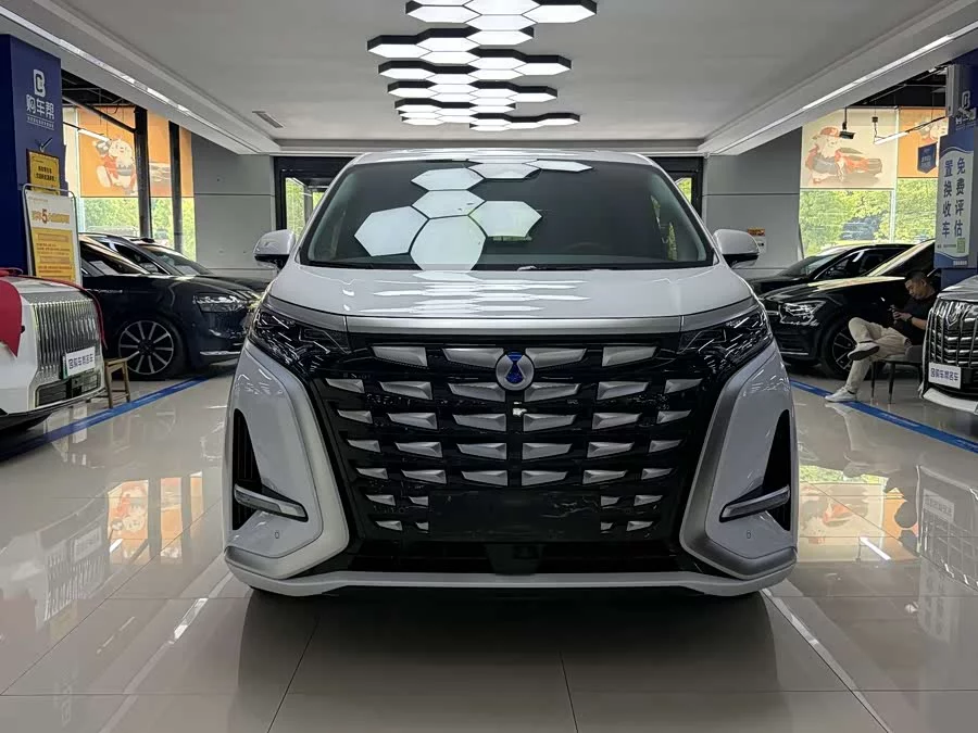 BYD D9