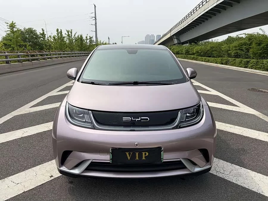 BYD Dolphin