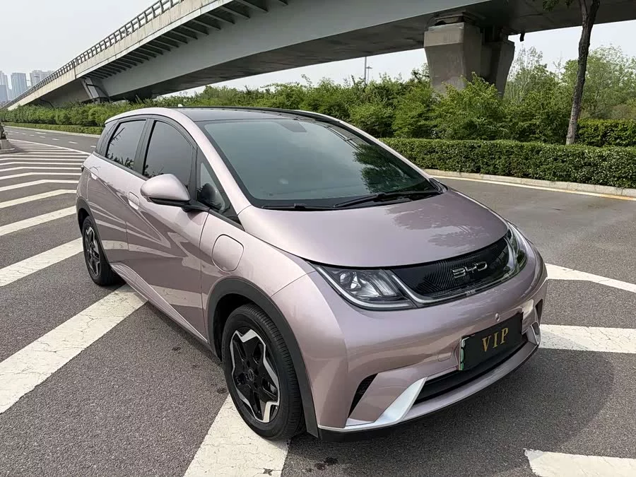 BYD Dolphin