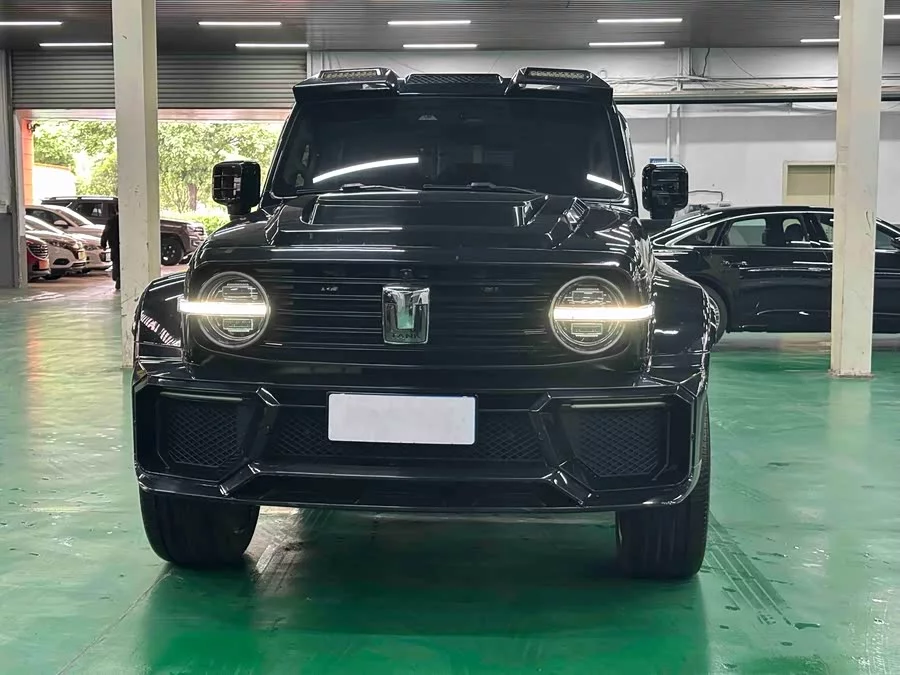 TANK 300