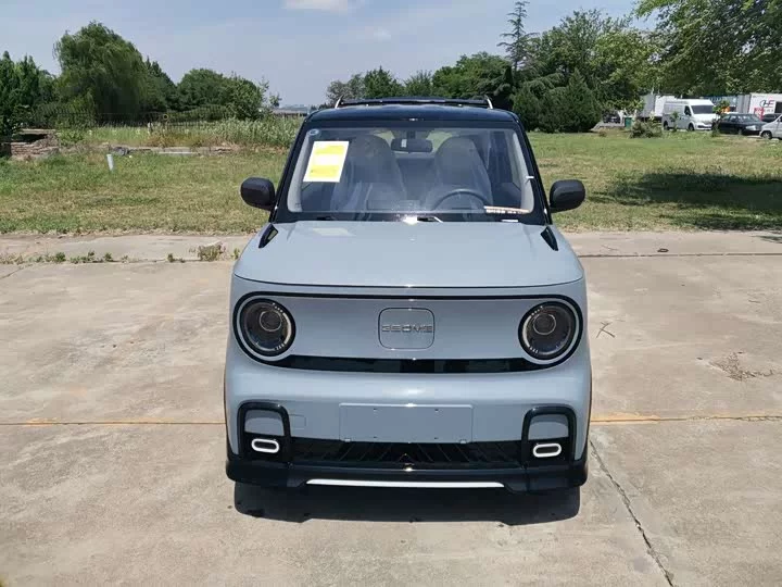 Geely panda