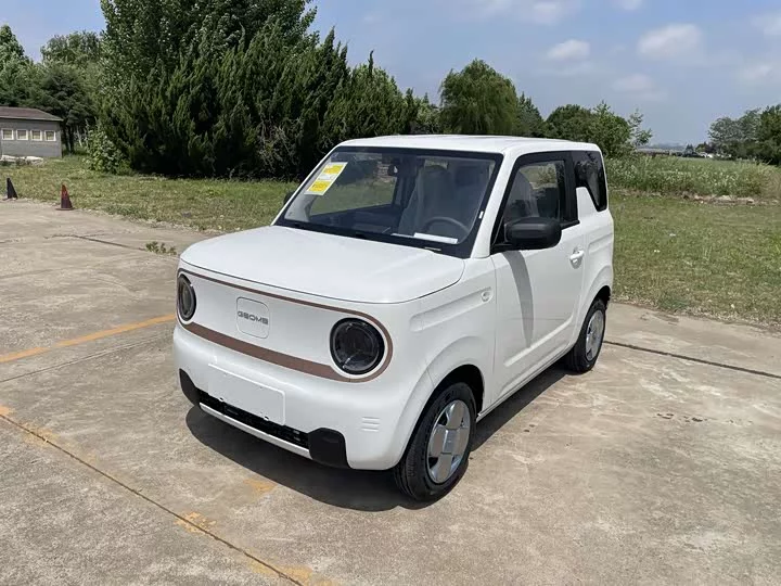 Geely panda
