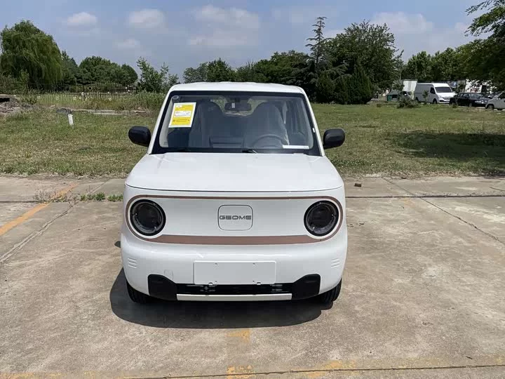 Geely panda