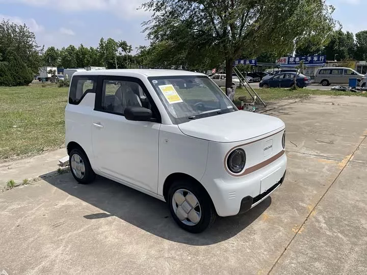 Geely panda