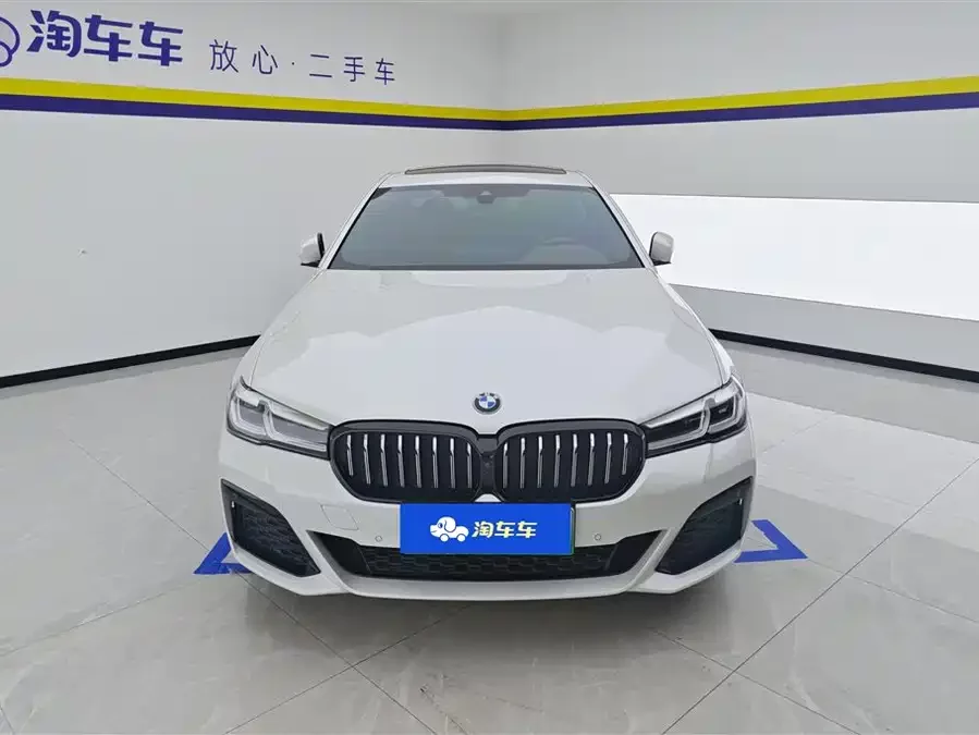 BMW 5 Series New Energy