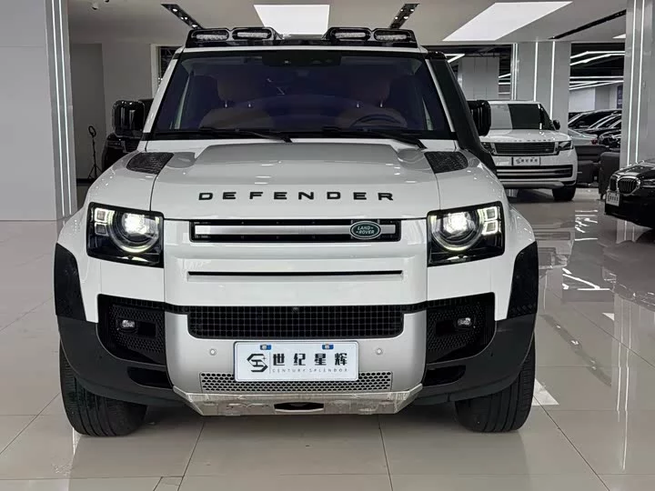 Land Rover guard