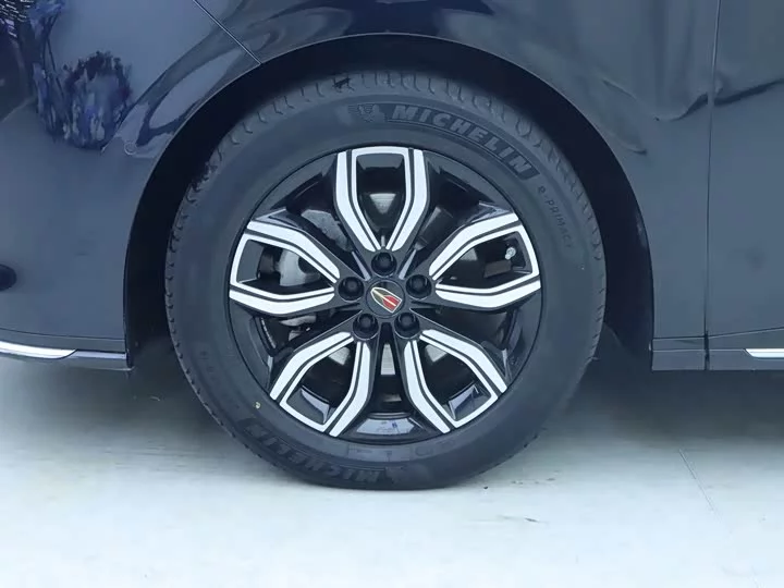 Hongqi HQ9