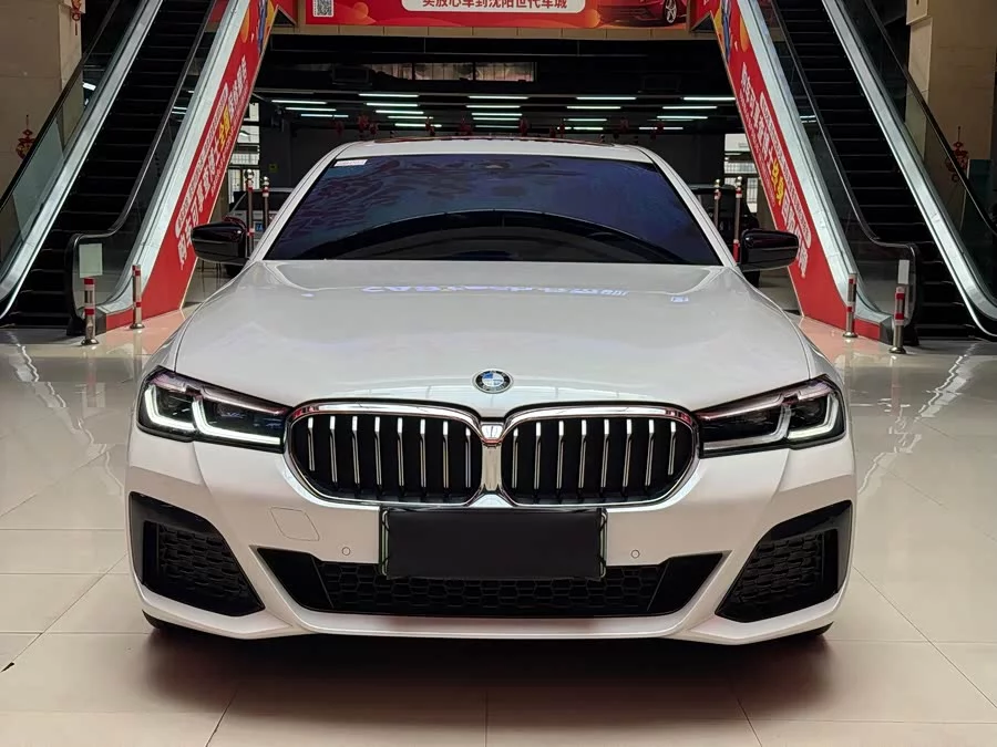 BMW 5 Series New Energy