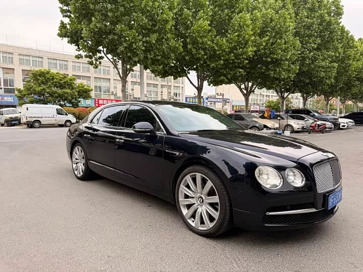 Bentley galloping