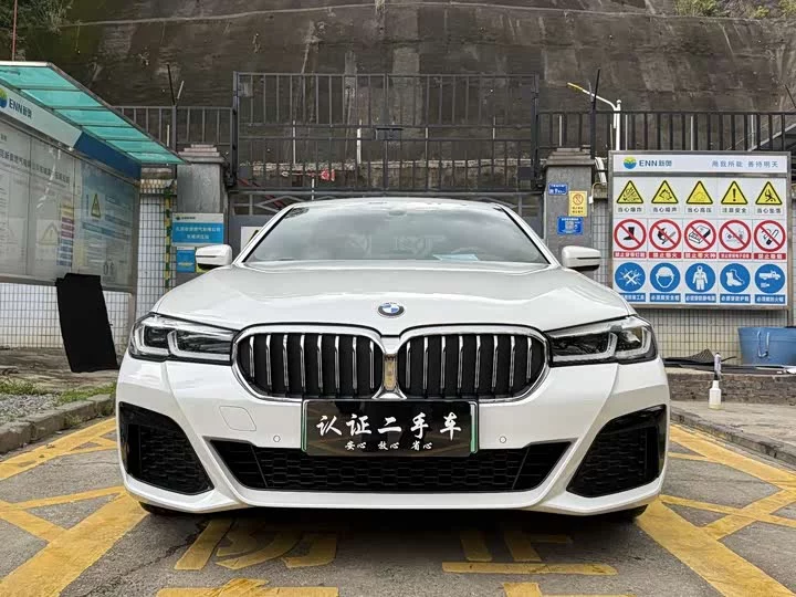 BMW 5 Series New Energy