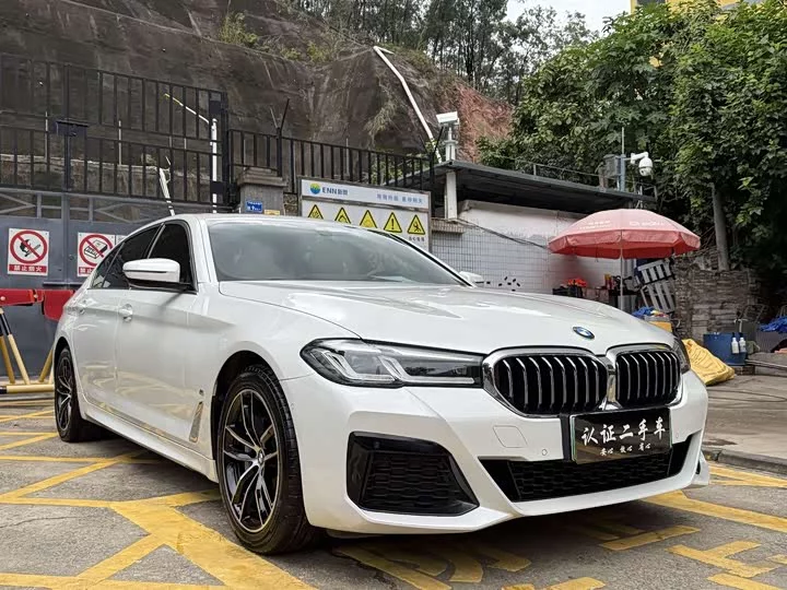 BMW 5 Series New Energy