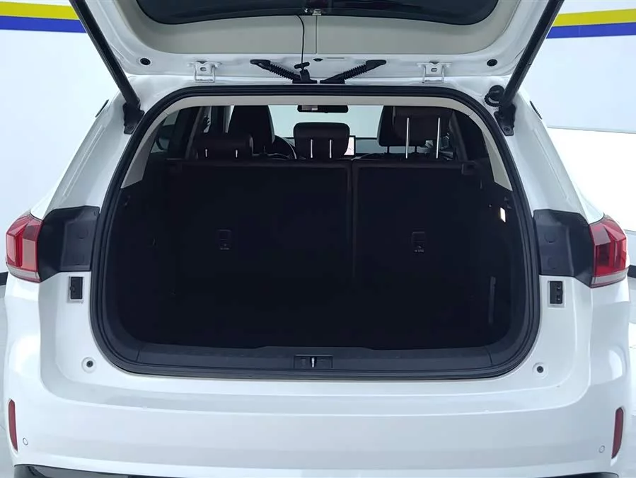 Wey VV6