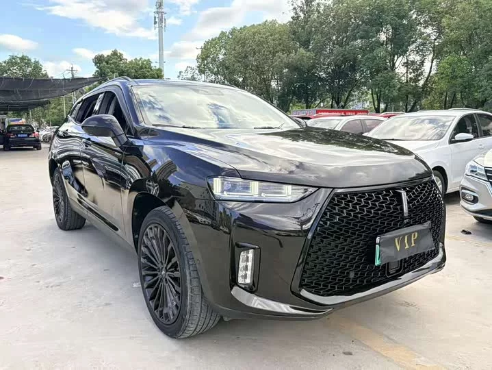 Wey P8