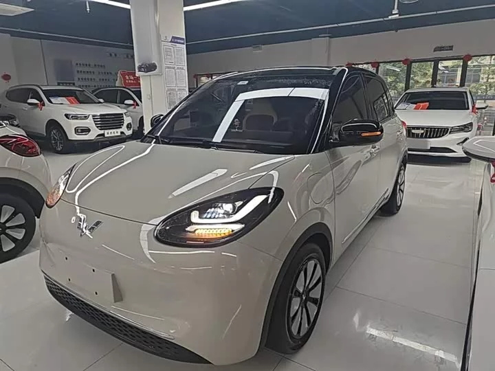 Wuling Bingo