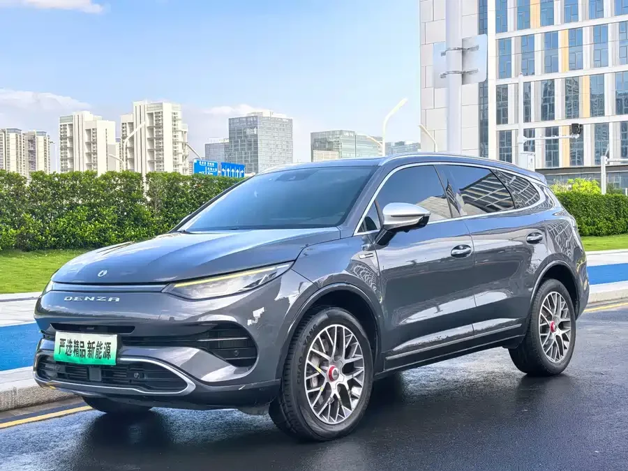 BYD X