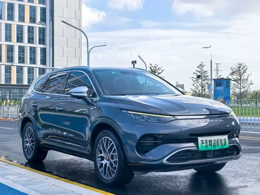 BYD X