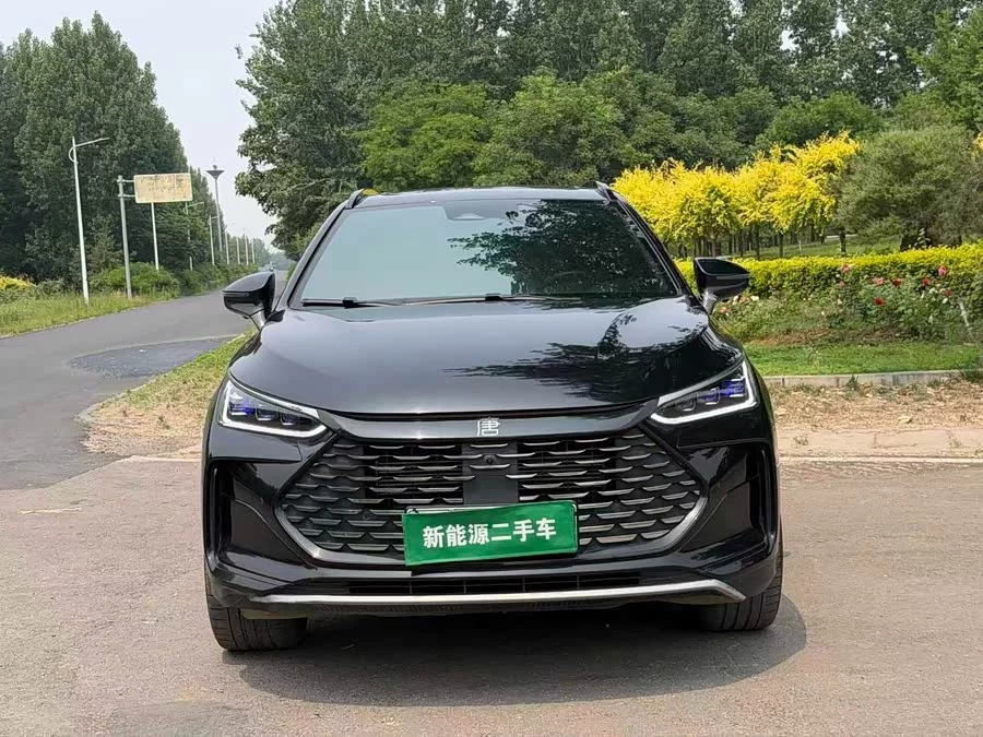 BYD Tang New Energy