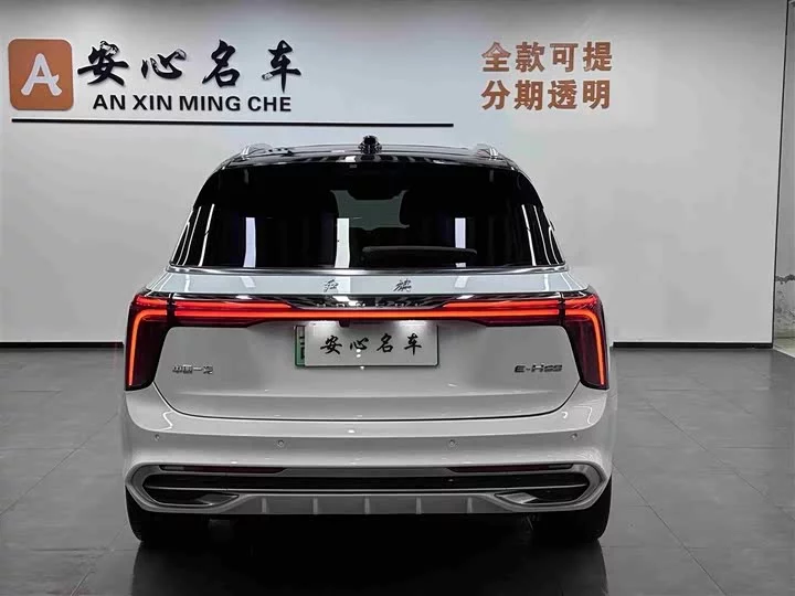 Hongqi E-HS9