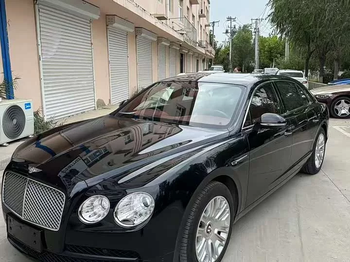 Bentley galloping