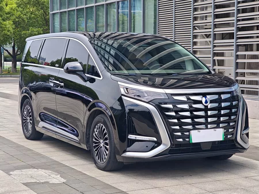 BYD D9