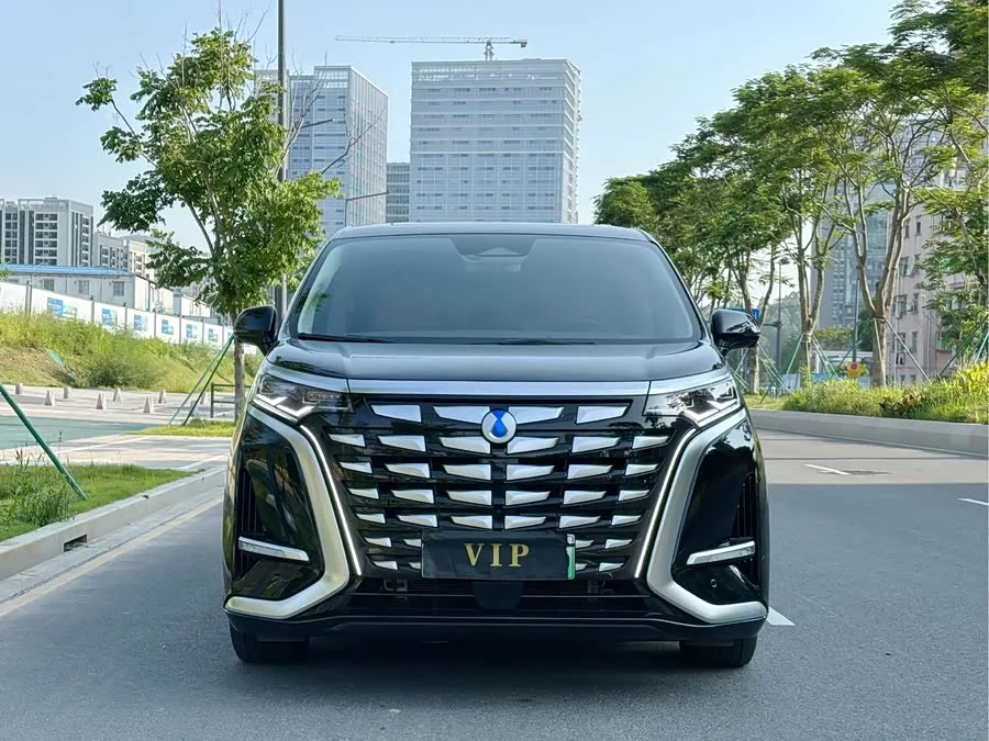 BYD D9