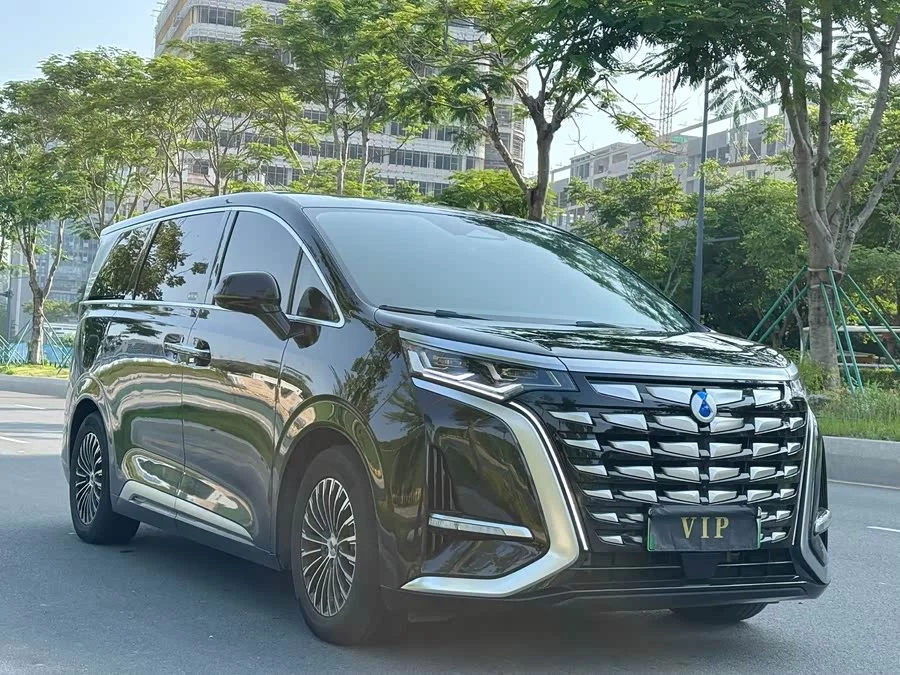 BYD D9