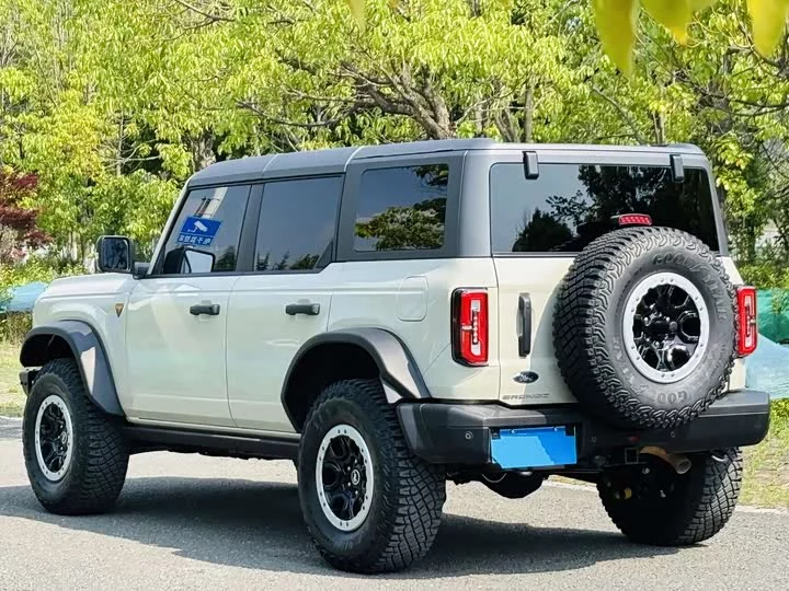 Ford Wild Horse