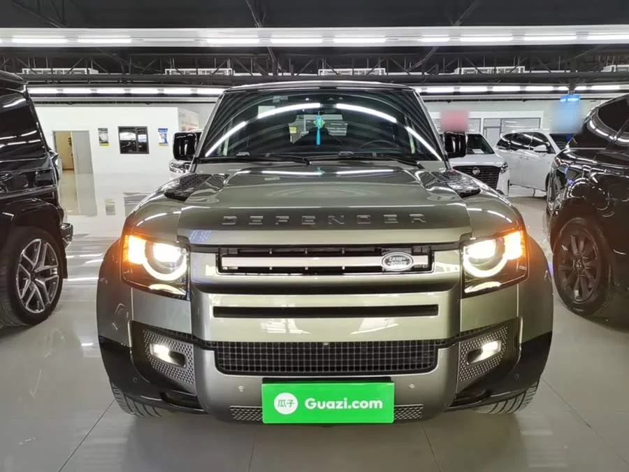 Land Rover guard