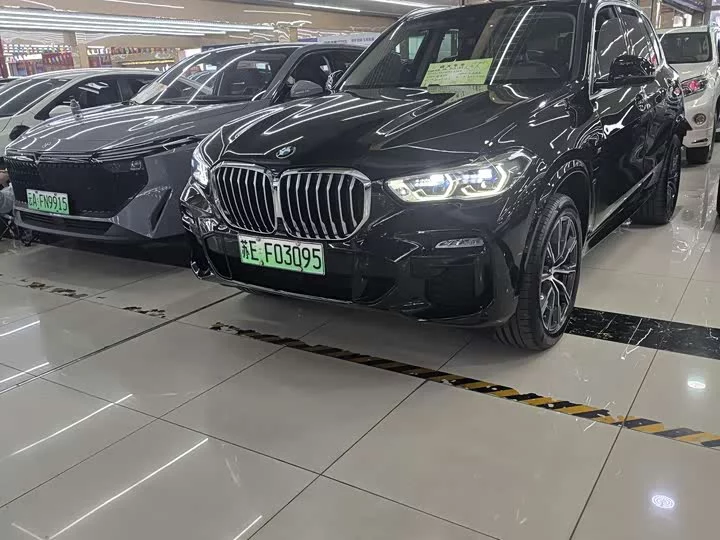 BMW X5 New Energy