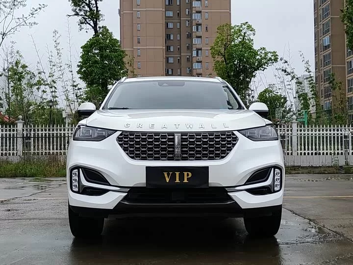 Wey VV6