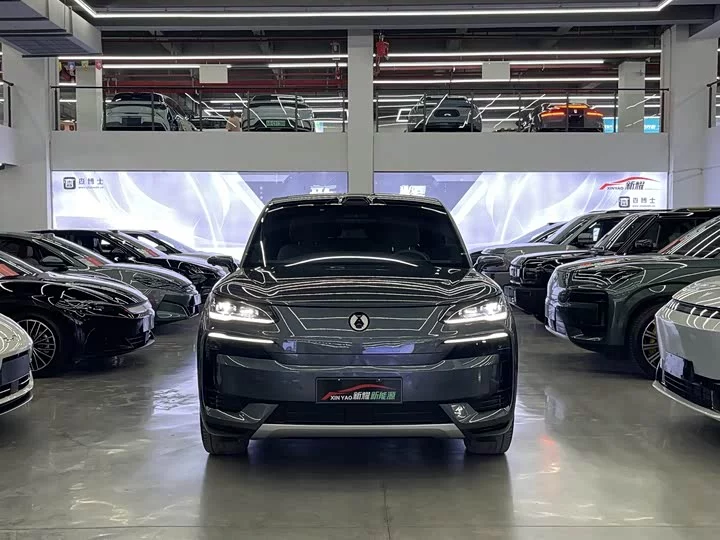 Denza N9