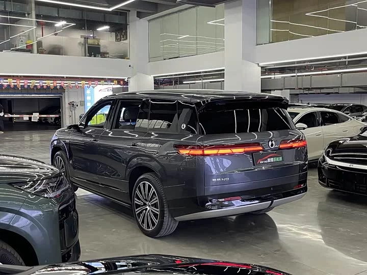Denza N9