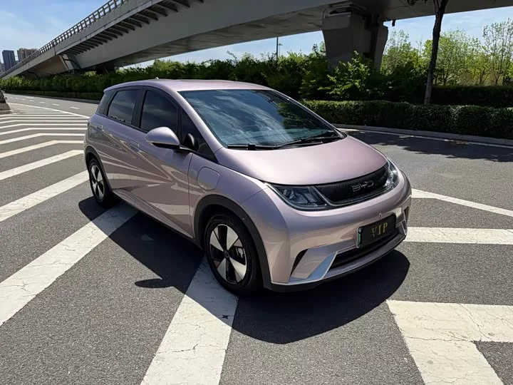BYD dolphin