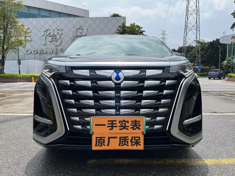 BYD D9
