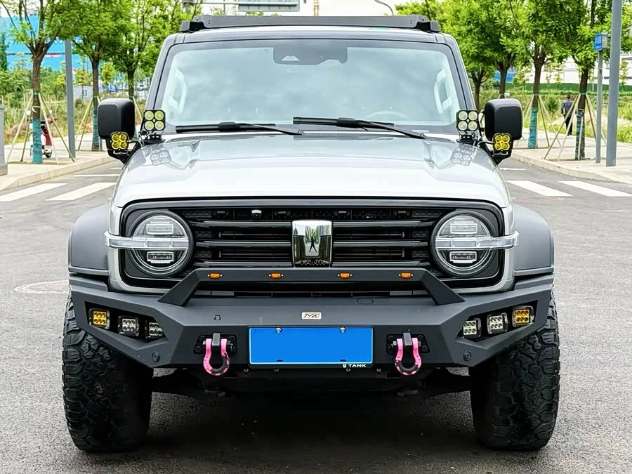 TANK 300