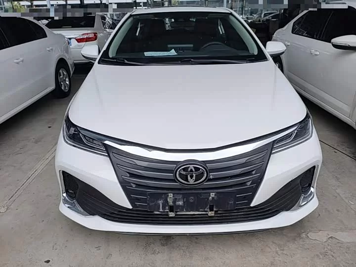 Toyota Asiatic lion