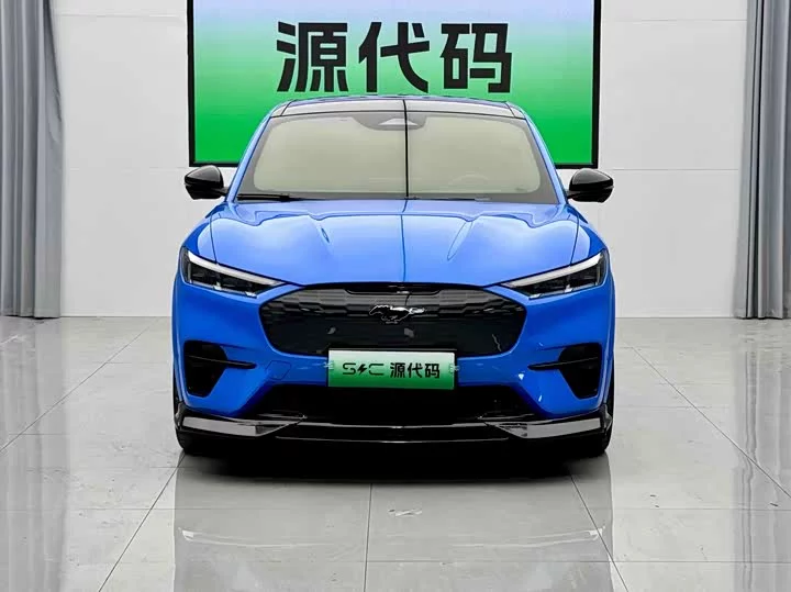 Ford electric horse