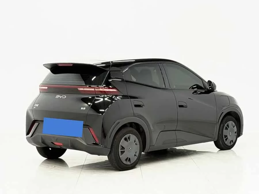 BYD Seagull