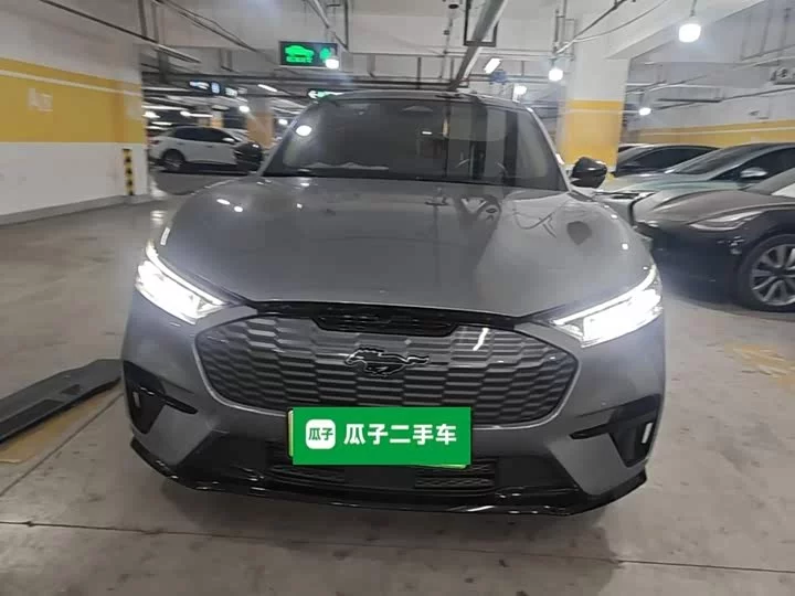 Ford electric horse