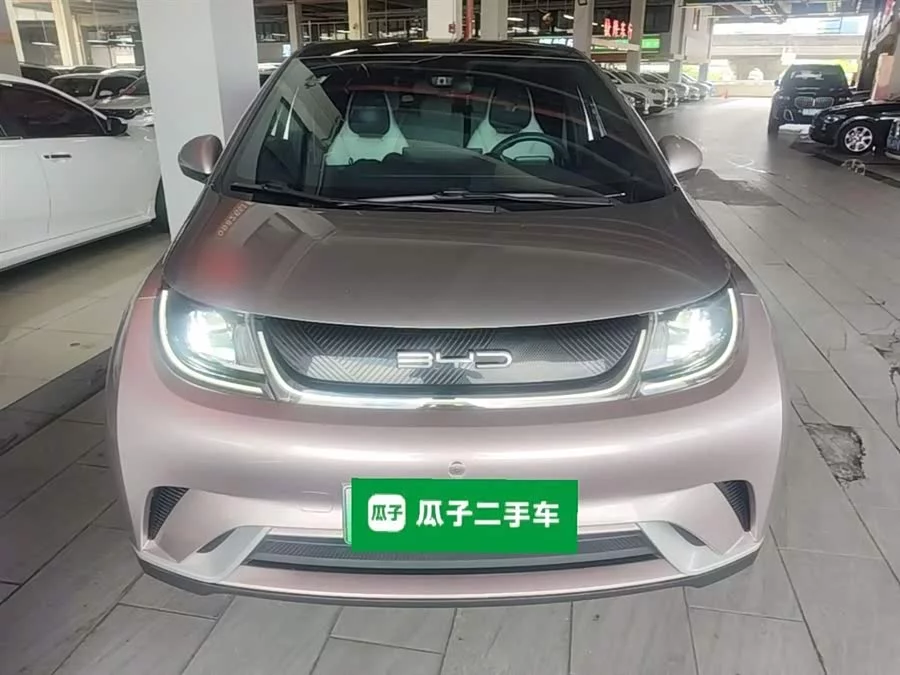 BYD Dolphin